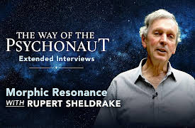 The Way of the Psychonaut: Extended Interviews: Morphic Resonance