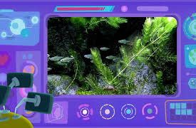 Venuso na Terra: Fish