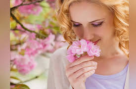 Brain Myths Exploded: Lessons from Neuroscience: Do You Have 5 Independent Senses?