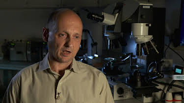 05:05: Medical Detectives - Geheimnisse der Gerichtsmedizin | VOX | 4/6 2026