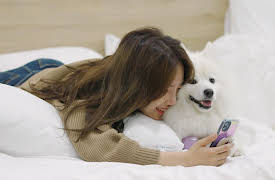 Pet Me Pick Me: Pet Me Pick Me Episode 2