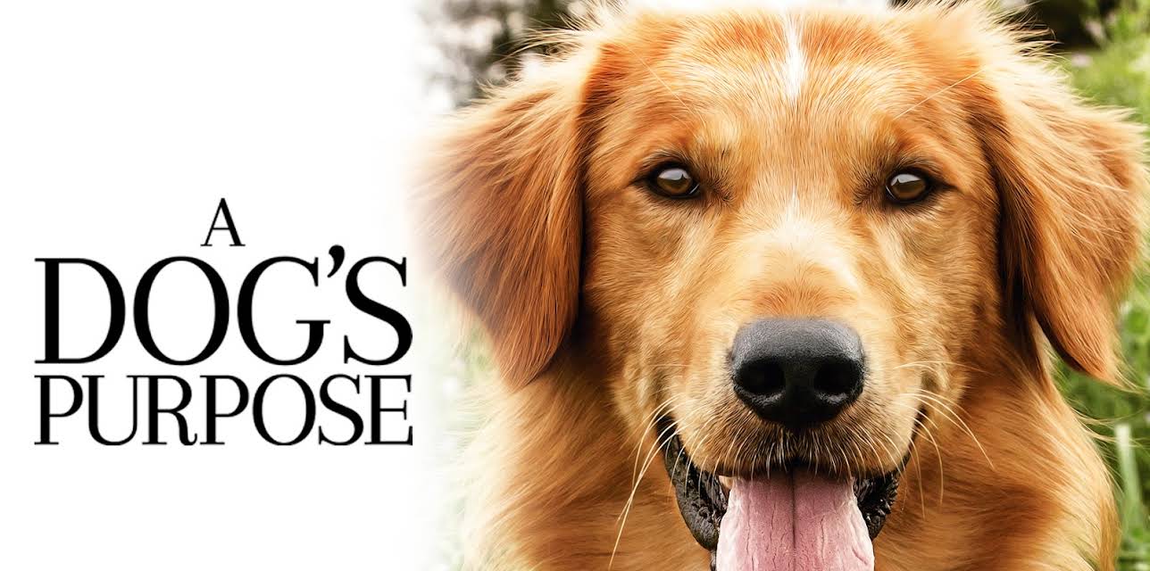 A Dog's Purpose (2017)