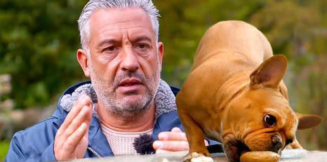 11:10: Hunde verstehen! | WDR Fernsehen | 2/25 2026