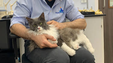 12:00 AM: The Supervet: Noel Fitzpatrick (S8 E5) (S8) | W | 1/13 2026