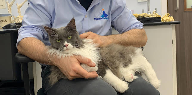 11:00 PM: The Supervet: Noel Fitzpatrick (S8 E5) (S8) | W | 1/12 2026