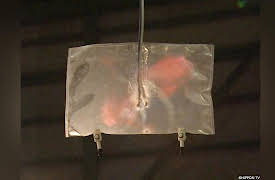 Crazy Labo: Episode 1