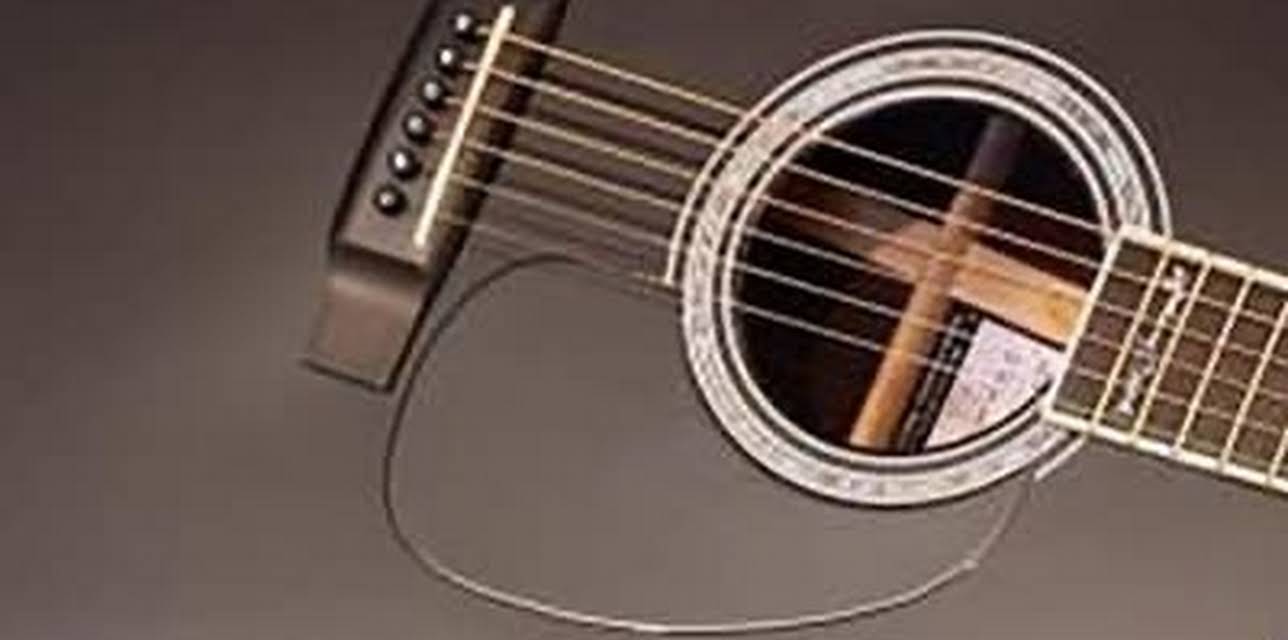 Johnny Cash: The Line, Walking With a Legend (2007)