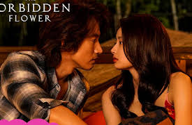 The Forbidden Flower: The Forbidden Flower