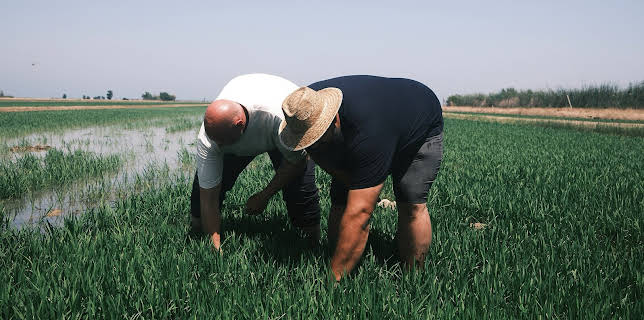 3:00 AM: Tom Kerridge Cooks... (S2 E6) (S2) | ITV | 12/6 2025