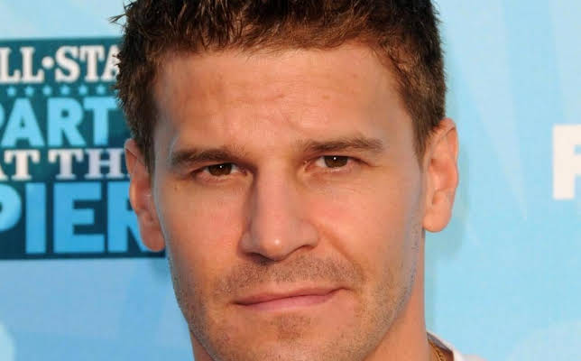 David Boreanaz