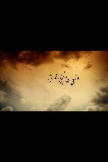 04:10: Desastre climático: Aire | National Geographic | 3/31 2026