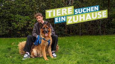 18:00: Tiere suchen ein Zuhause | WDR Fernsehen | 10/25 2026