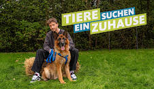Tiere suchen ein Zuhause