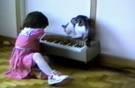 Funniest Pets and People: Season 1: Episode 215