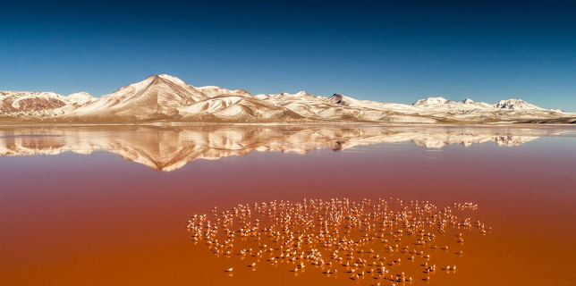 18:25: Michael Martin - Mit der Kamera um die Welt (1/4) | ARD Alpha | 12/25 2025