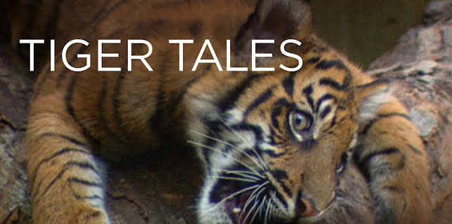 Tiger Tales (2007)