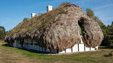 10:40: 360° Reportage | Arte | 4/20 2026