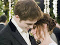 Breaking Dawn - Biss zum Ende der Nacht (1)
