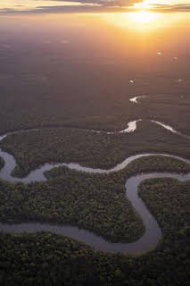 18:00: Amazonia americana: Ríos secretos | Nat Geo Wild | 8/29 2026