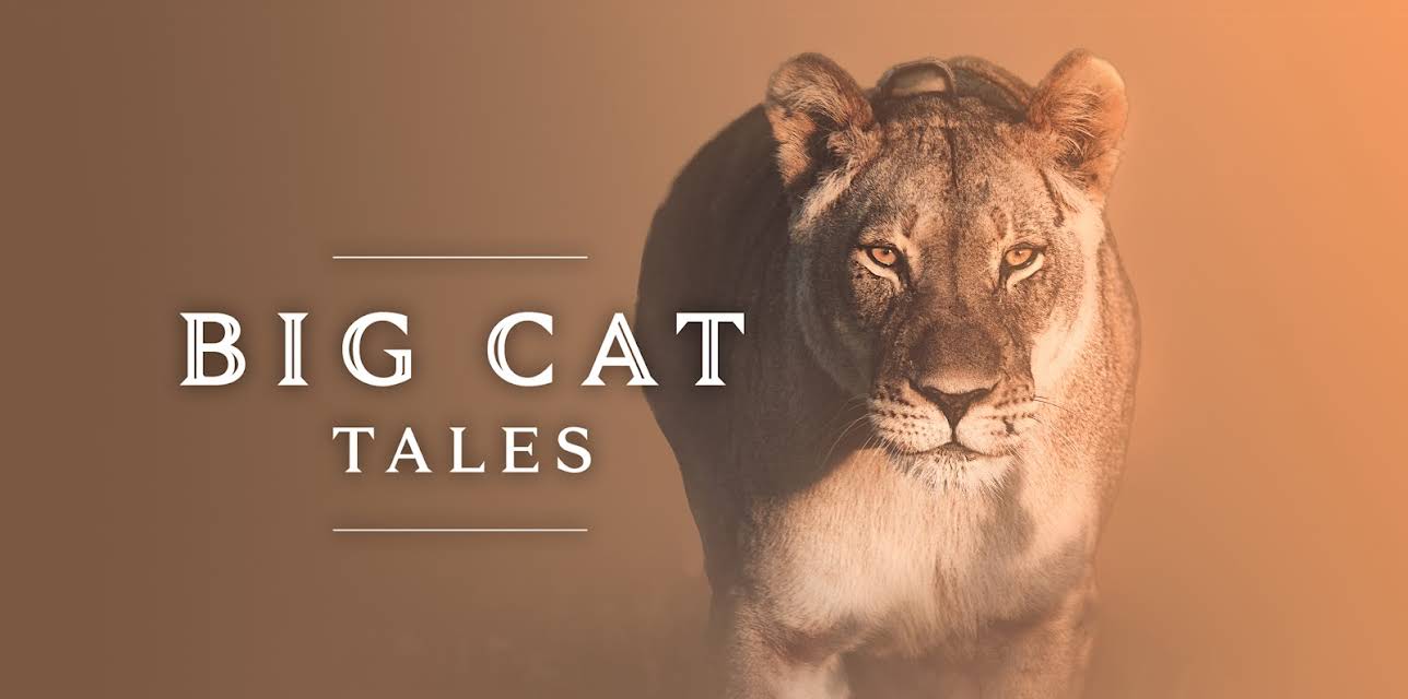 Big Cat Tales  Season 1