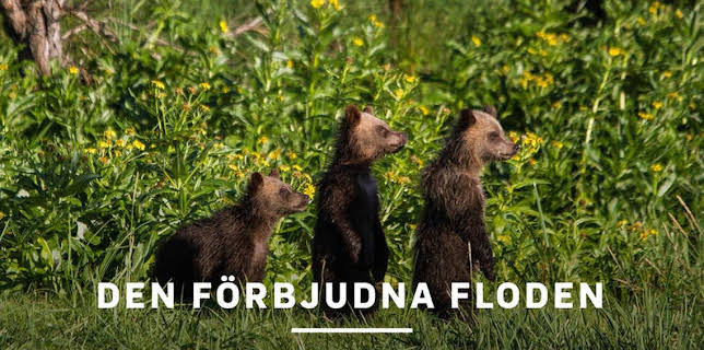 21:00: Den förbjudna floden | Kunskapskanalen | 12/13 2025