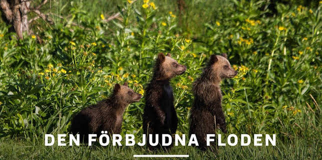 Den förbjudna floden