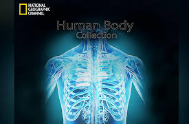 Human Body Collection Season 1: Extraordinary Humans: Muscles