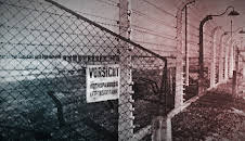 Krieg und Holocaust - Der deutsche Abgrund