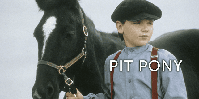 Pit Pony