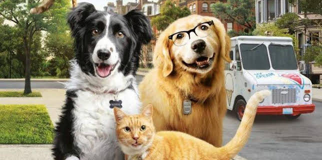 15:18: CINE: 'COMO PERROS Y GATOS 3: ¡TODOS A UNA! ' | Boing | 2/8 2026