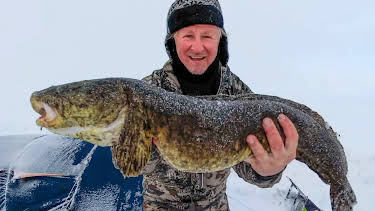 01:05: Der ingen skulle tru at nokon kunne bu: Nomaden i villmarka | NRK 1 | 4/5 2026