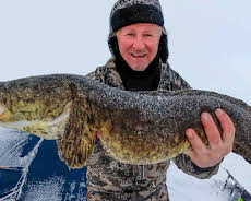 Der ingen skulle tru at nokon kunne bu: Nomaden i villmarka