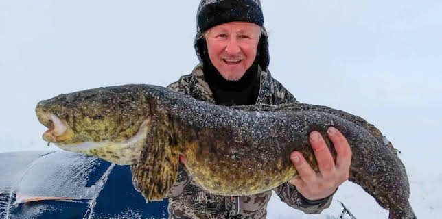 23:20: Der ingen skulle tru at nokon kunne bu: Nomaden i villmarka | NRK 2 | 1/9 2026