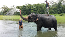 Man and Beast with Martin Clunes (S1 E1)