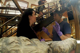 Somebody39s Gotta Do It: Mütter Museum