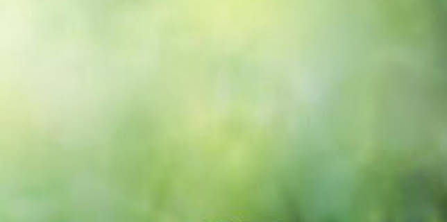 12:45: Cap sur les oasis | TV5MONDE | 2/3 2026