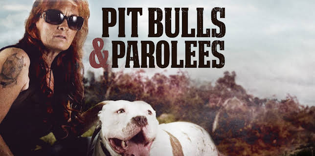 14:00: Pit Bulls & Parolees (S11 E7) (S11) | Animal Planet | 8/18 2025
