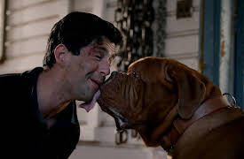 Turner & Hooch, S1: Arf Appreciation