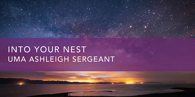 Into Your Nest (2022)