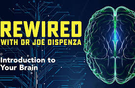 Rewired: Introduction to Your Brain