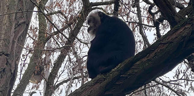 10:35: Elefant, Tiger & Co. (276) | MDR Fernsehen | 12/10 2025