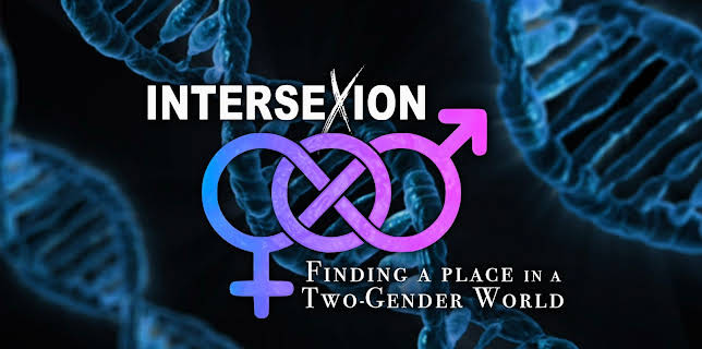 Intersexion (2013)