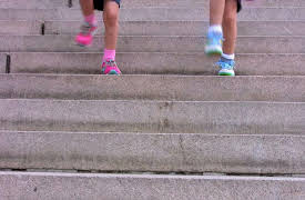 I'm Curious: Transportation