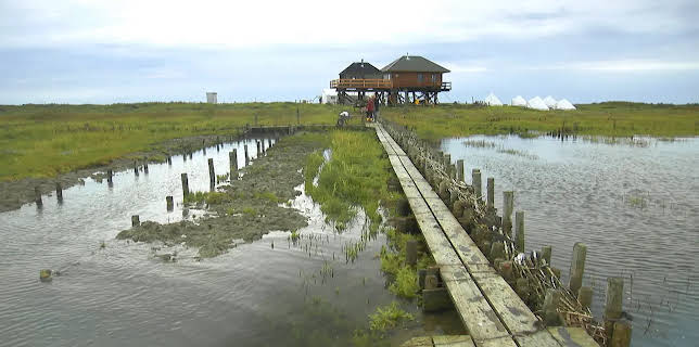 20:15: Land im Gezeitenstrom | NDR Fernsehen | 2/15 2026