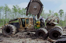 Swamp Loggers: Episode 17