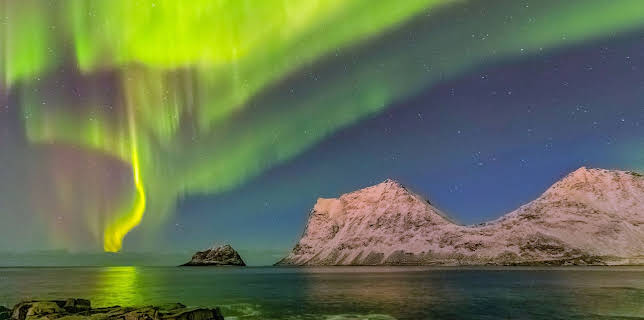 09:55: Abenteuer Wildnis | BR Fernsehen | 1/17 2026