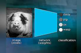 Introduction to Machine Learning: Making Stylistic Images with Deep Networks