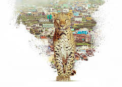 Nilgiris: A Shared Wilderness
