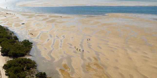 08:55: Afrika von oben | Arte | 1/15 2026