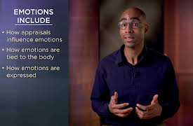 Understanding Human Emotions: The Science and Philosophy of Emotions